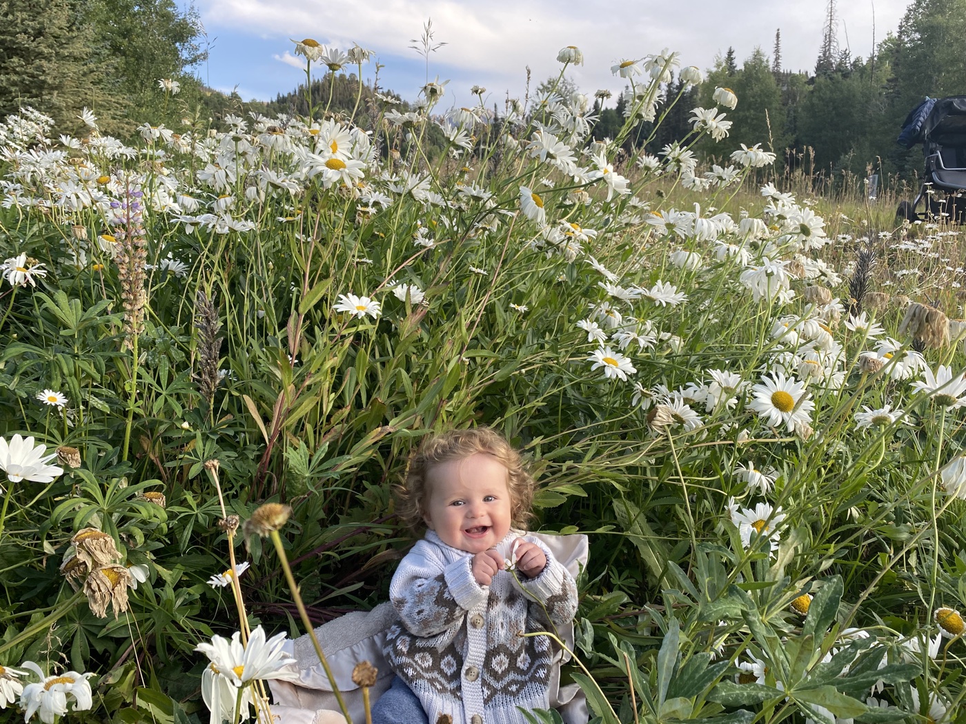 A smiling baby sitting among white Shasta daisies in a mountain meadow