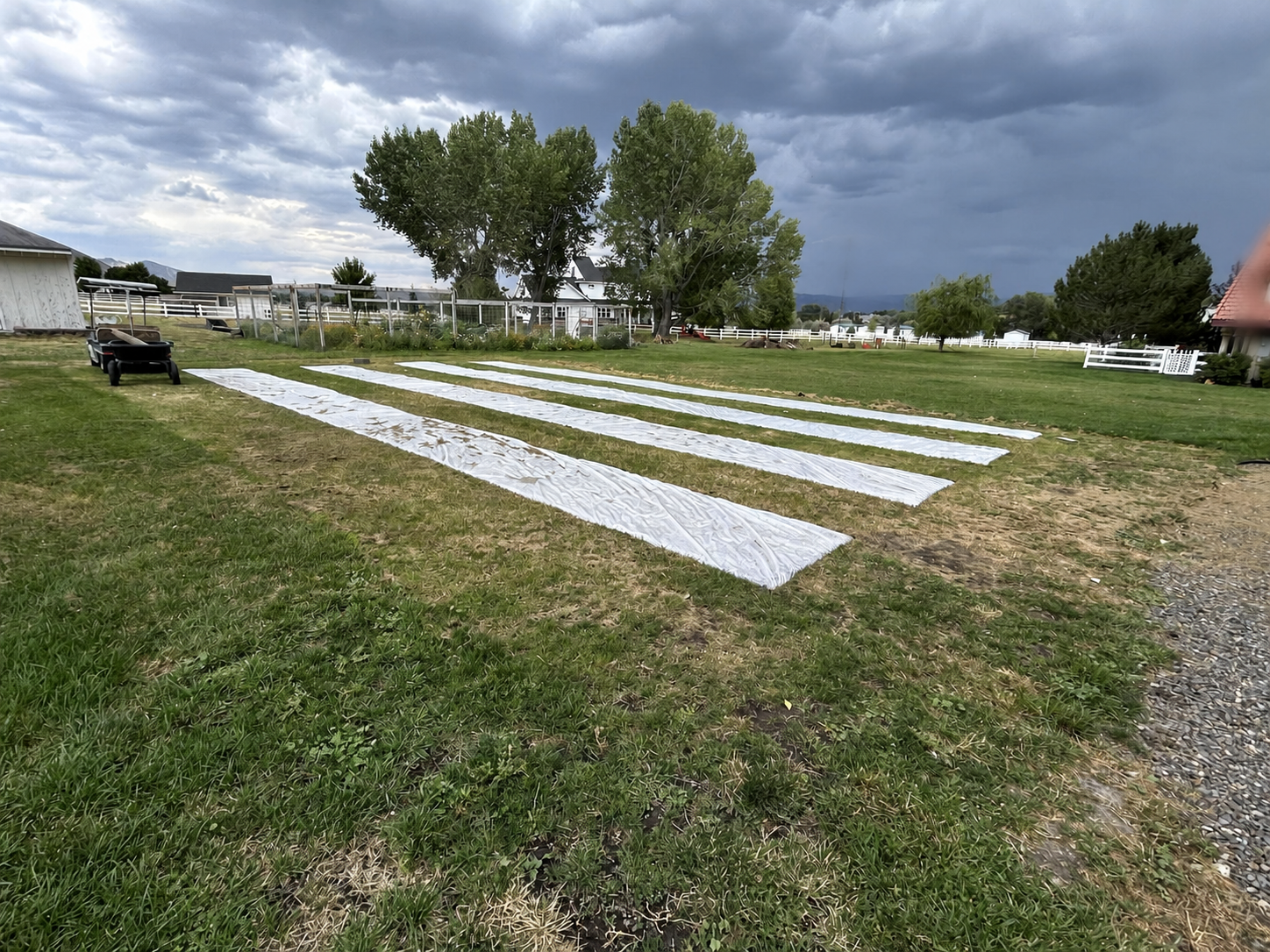Long covered rows laid out across a grassy field with mountains in the distance